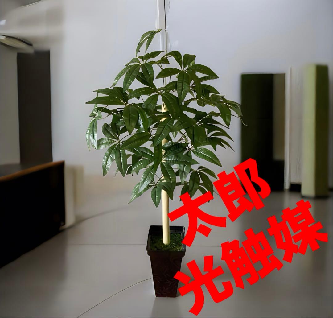 光触媒　人工観葉植物　ウォールグリーン　フェイクグリーン　パキラ12562