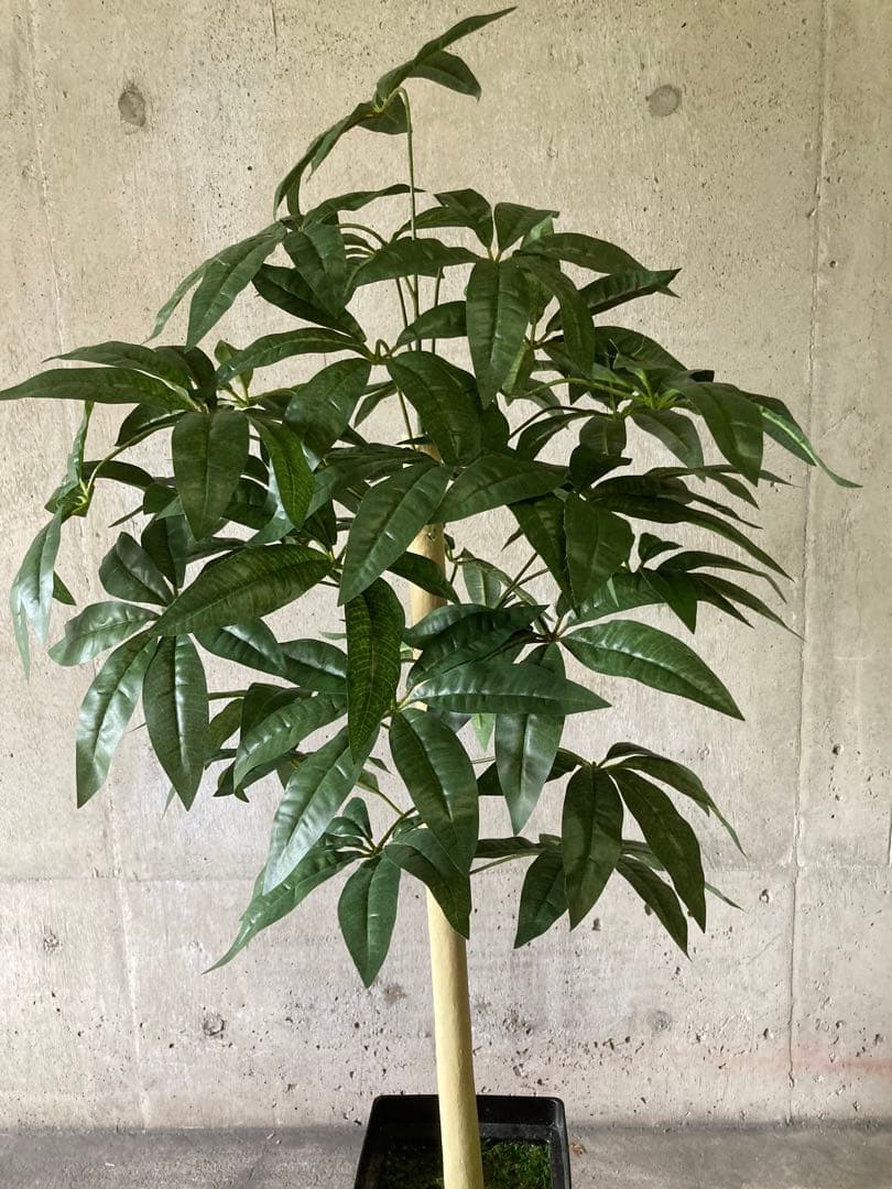 光触媒　人工観葉植物　ウォールグリーン　フェイクグリーン　パキラ12562