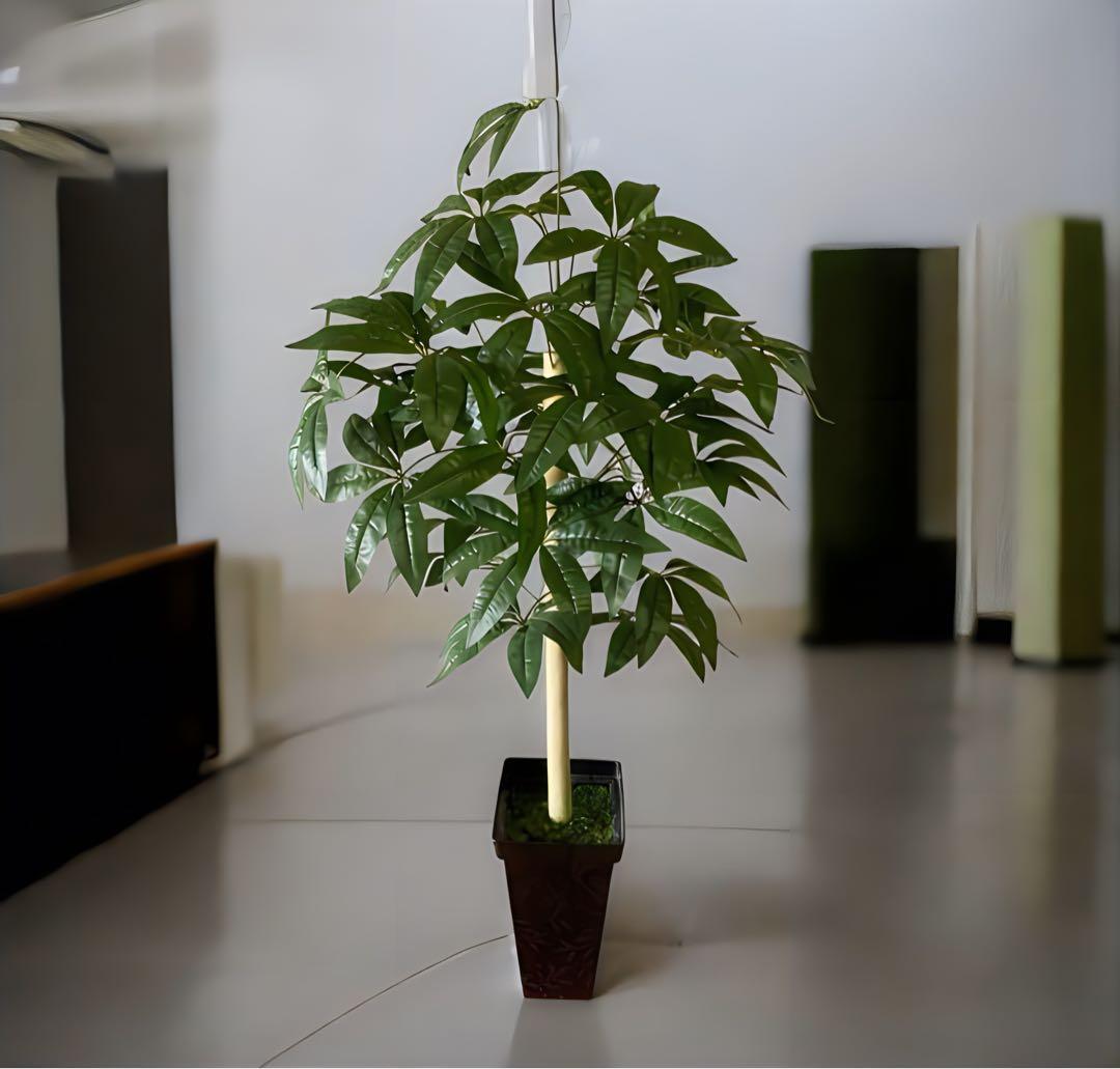 光触媒　人工観葉植物　ウォールグリーン　フェイクグリーン　パキラ12562