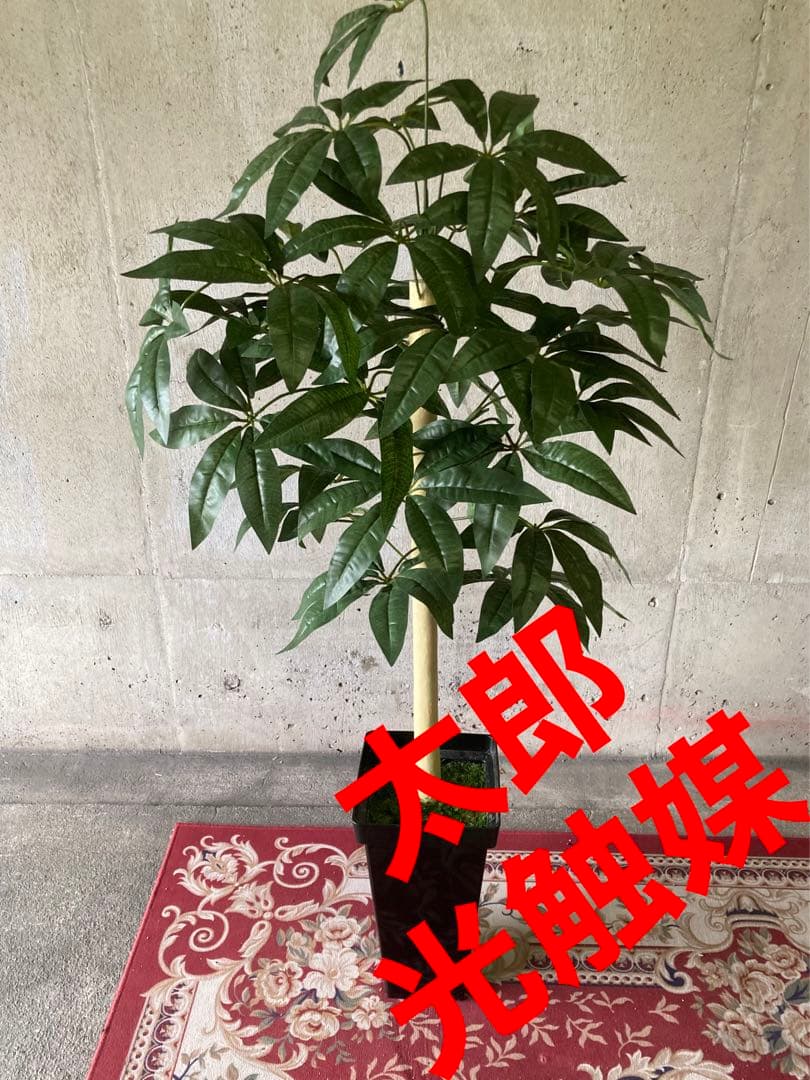 光触媒　人工観葉植物　ウォールグリーン　フェイクグリーン　パキラ12562