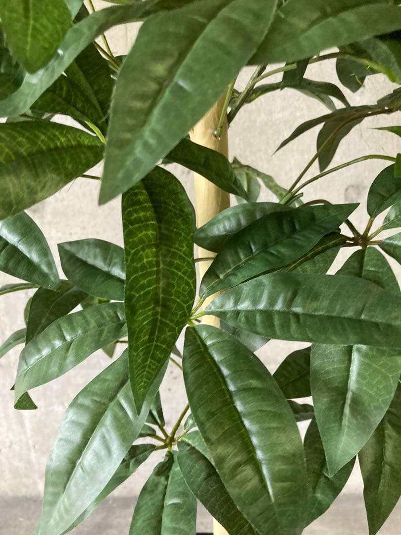 光触媒　人工観葉植物　ウォールグリーン　フェイクグリーン　パキラ12562
