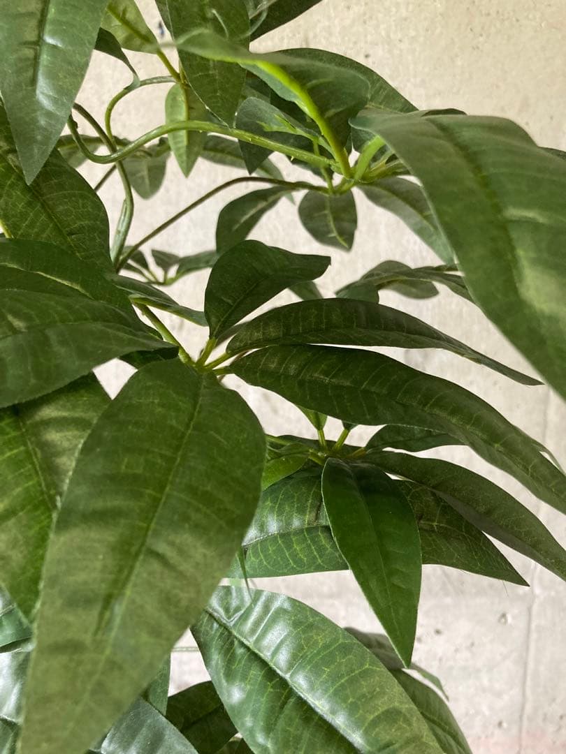 光触媒　人工観葉植物　ウォールグリーン　フェイクグリーン　パキラ12562