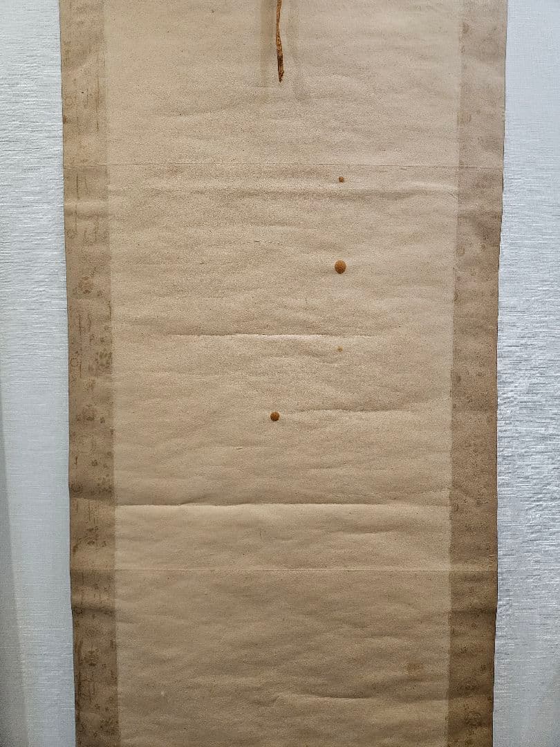 佐伯岸駒 虎之図 極細密 肉筆 絹本 江戸期絵師 掛軸