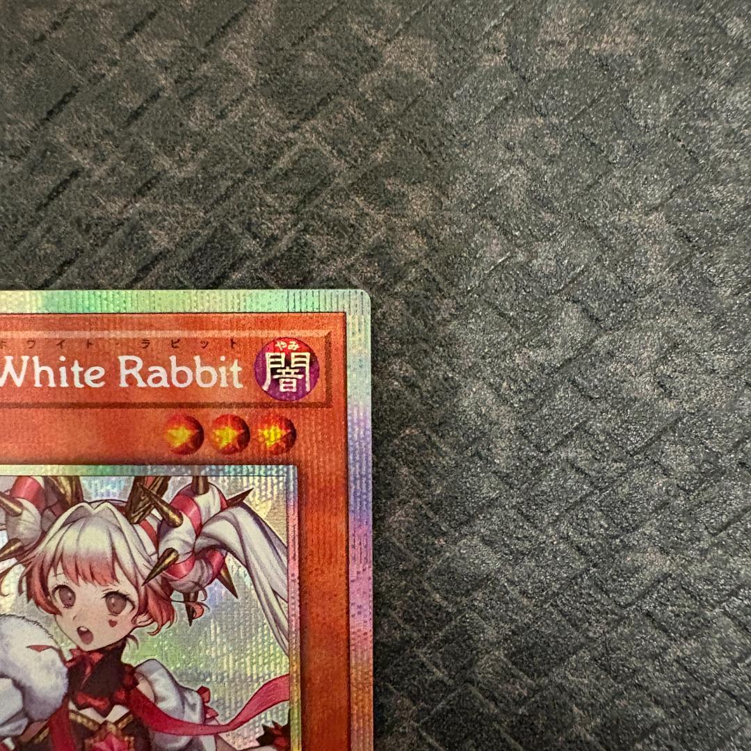 遊戯王　スペシャルパック(スタンプエディション)　ホワイトラビット　プリシク１枚