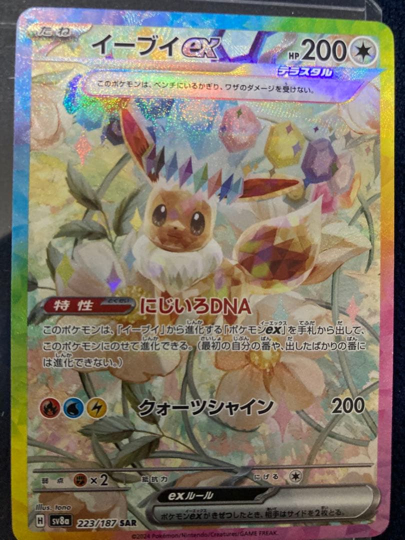 ブイズex sarセット