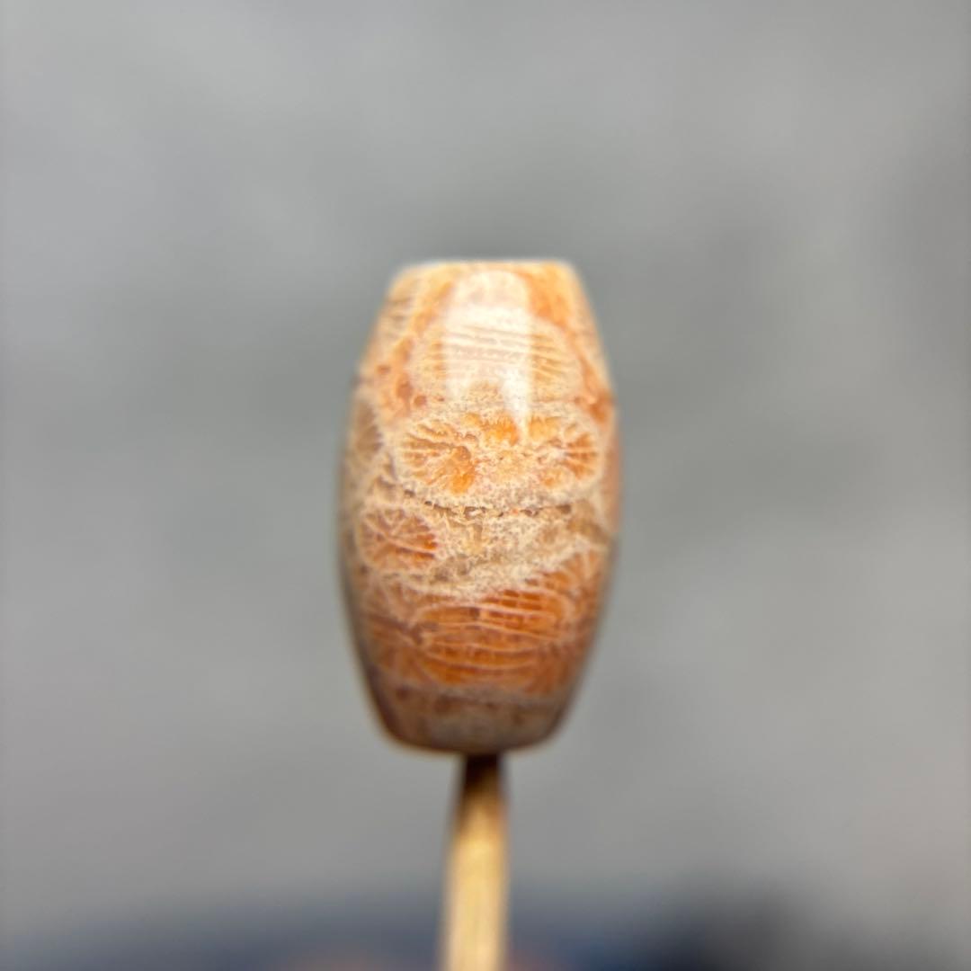 あずきちゃんフォッシルコーラル　天珠　1-284