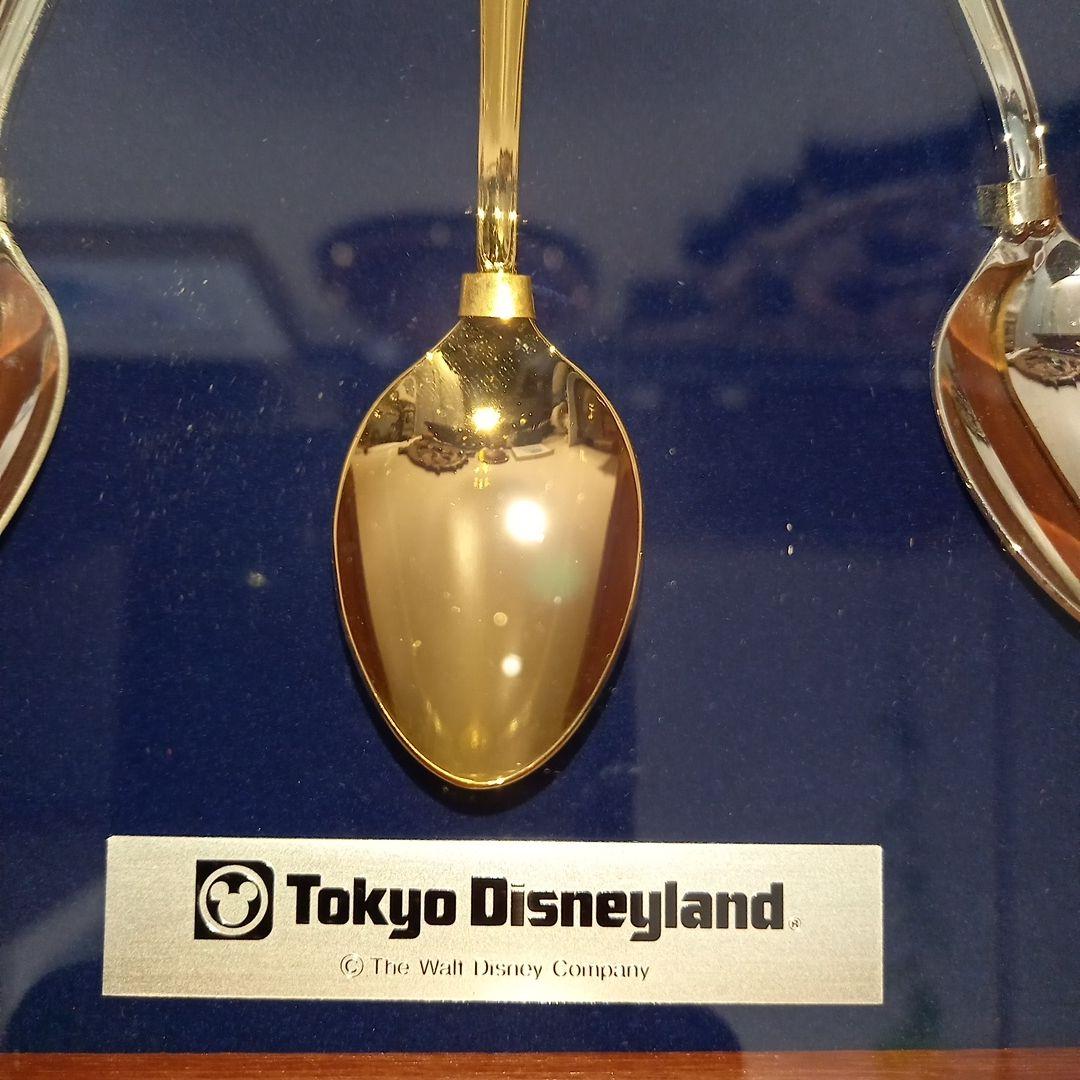 東京ディズニーランド　キャスト勤続記念　スプーン　セット　未使用