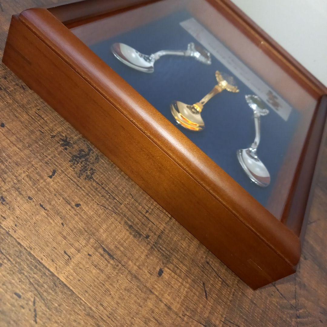 東京ディズニーランド　キャスト勤続記念　スプーン　セット　未使用