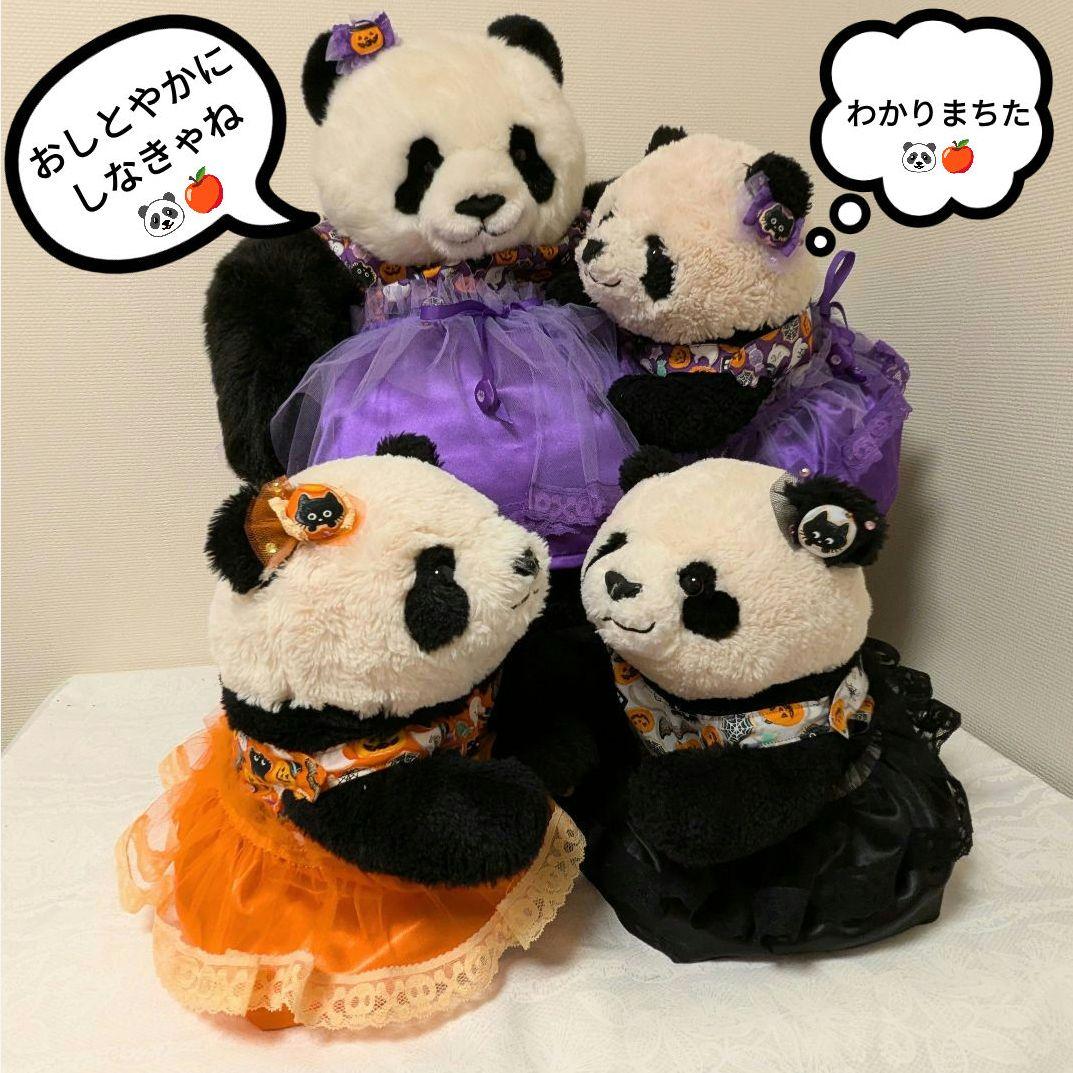 ２歳シャン♡ハロウィンコスチューム♡ちょっぴり大人なレディシャン Purple