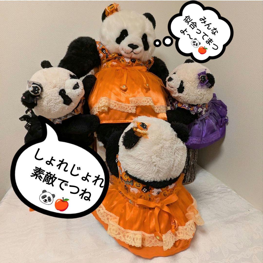 ２歳シャン♡ハロウィンコスチューム♡ちょっぴり大人なレディシャン Purple