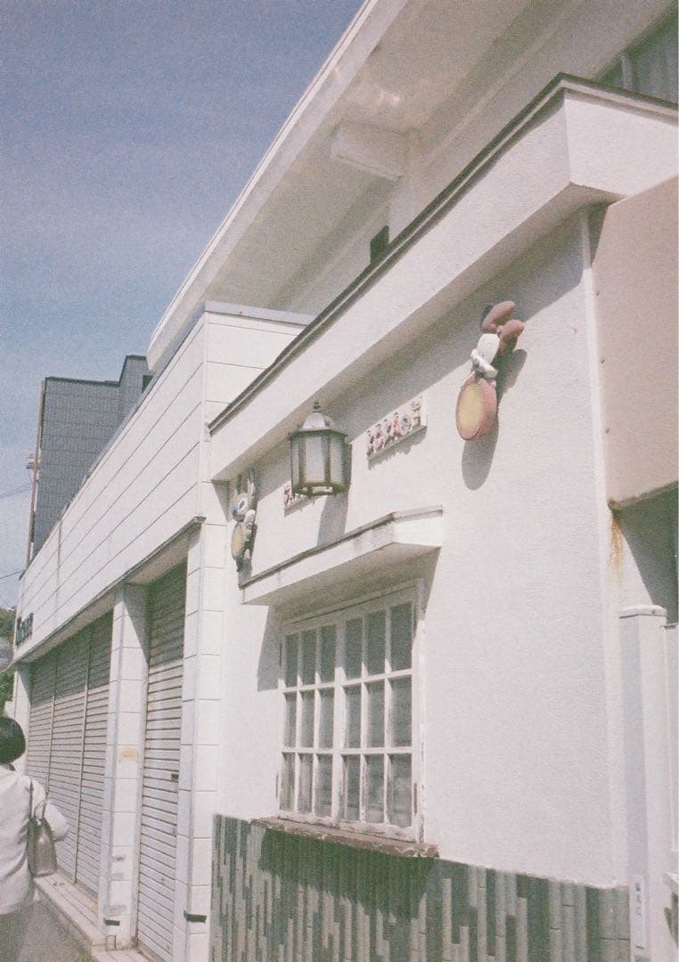 【動作確認・清掃済み＊試写あり】リコーオートハーフE 花柄