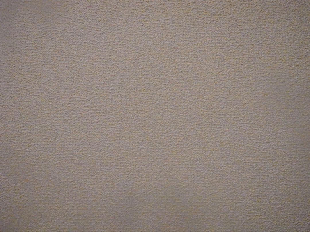 ご*う様 RICOH リコー GR DIGITAL デジタル IV デジカメ　コ