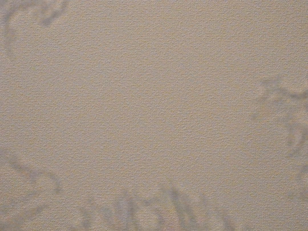 ご*う様 RICOH リコー GR DIGITAL デジタル IV デジカメ　コ