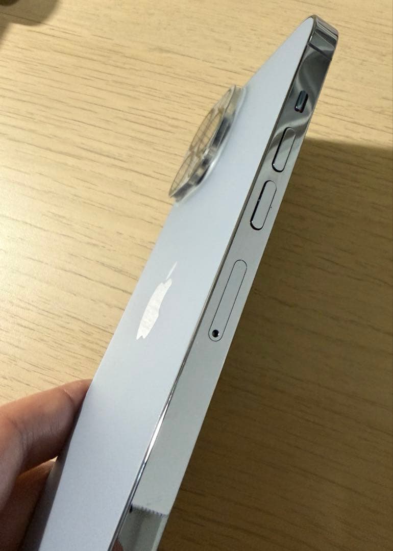 本日限定値下【512GB 88%】iPhone13 ProMax シエラブルー