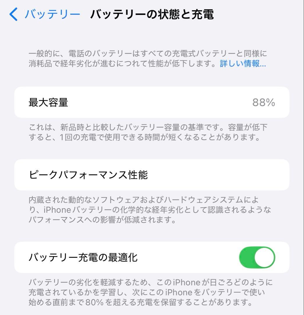 本日限定値下【512GB 88%】iPhone13 ProMax シエラブルー