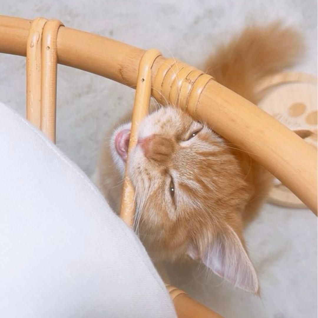 unico CAGE ラタン ソファ 椅子 1人用