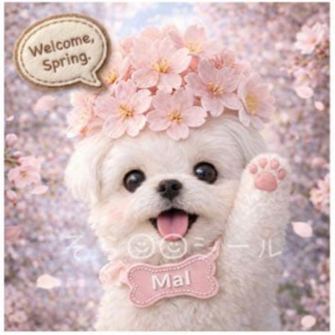 ♥むっち♥ ♡♬.*゜