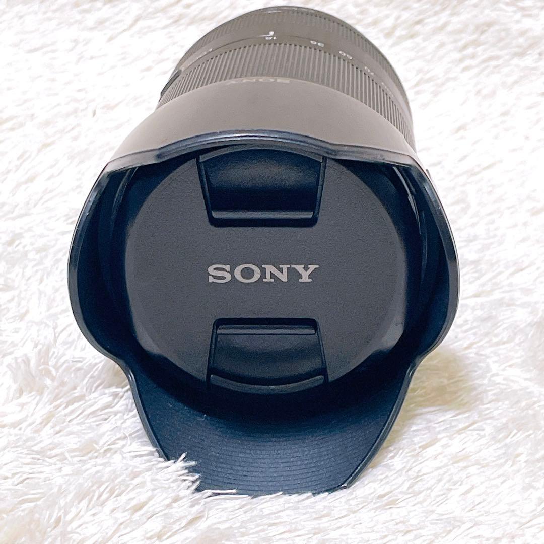 Sony E 18-200mm F3.5-6.3 OSS LE レンズ