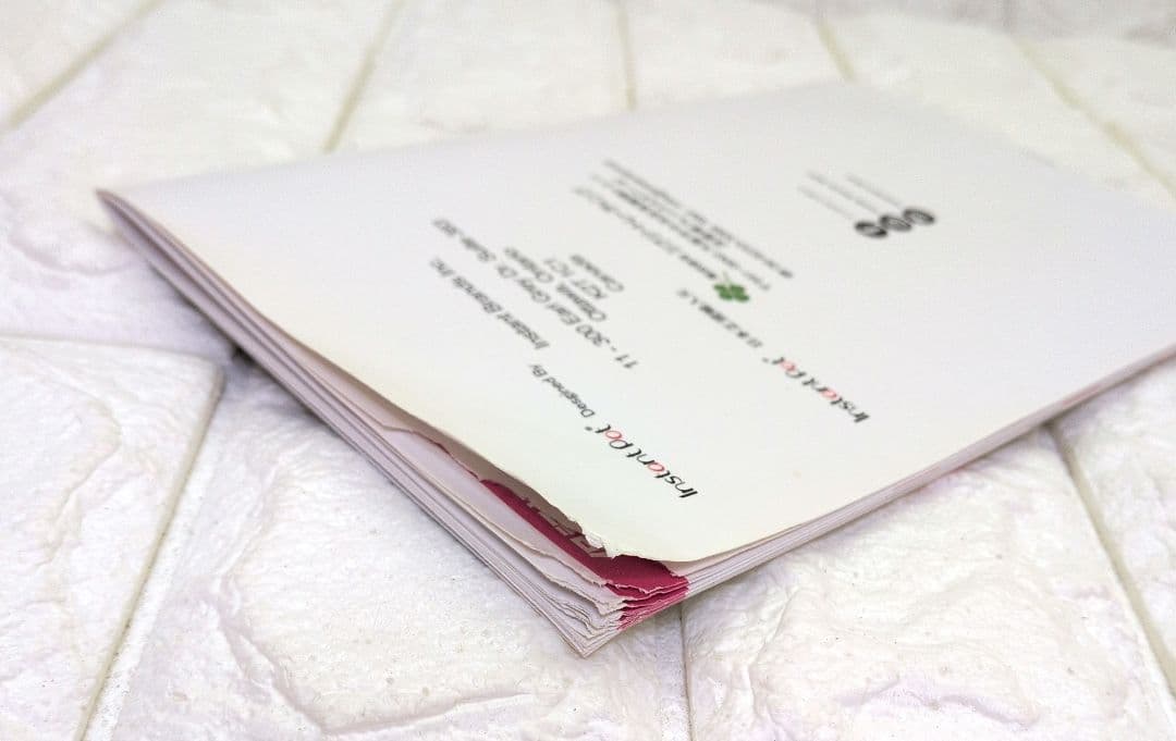 Instant Pot Duo SV 60 5.7L 電気圧力鍋　大容量