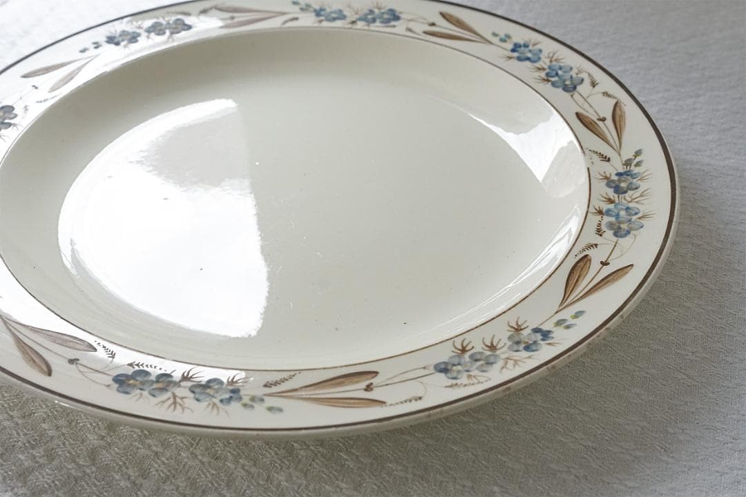 イギリスアンティーク 　19世紀　ボタニカル　絵付け　プレート　24.4cm