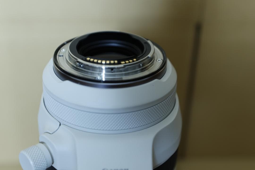 RF 100-500mm F4.5-7.1 & フィルター2個＋迷彩カバー付