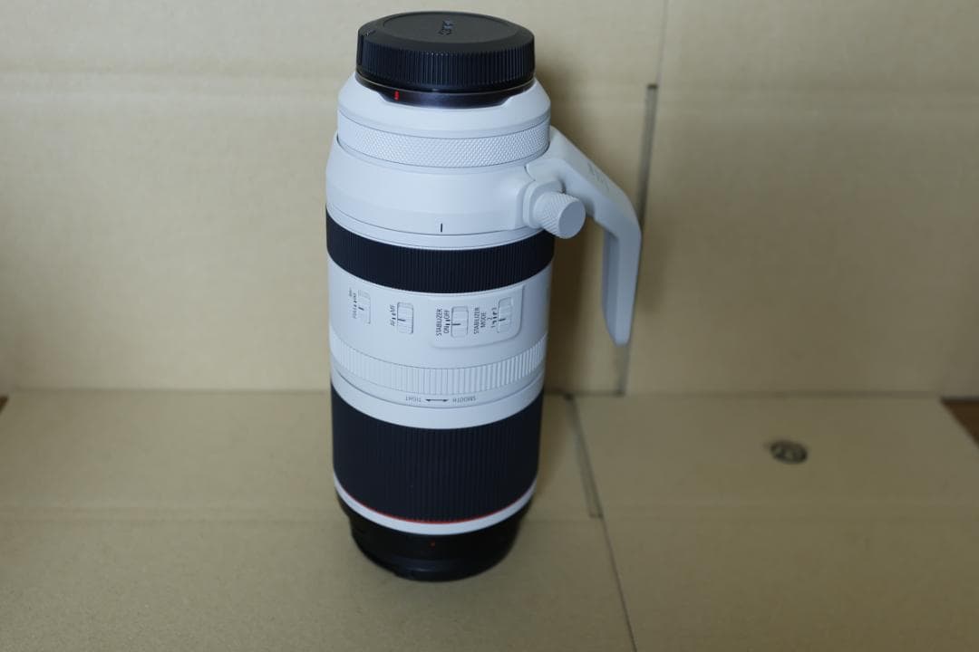 RF 100-500mm F4.5-7.1 & フィルター2個＋迷彩カバー付