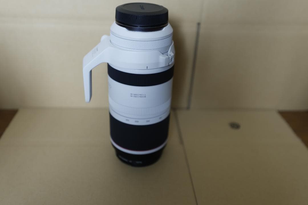 RF 100-500mm F4.5-7.1 & フィルター2個＋迷彩カバー付