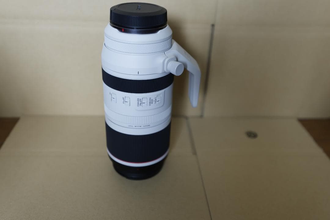 RF 100-500mm F4.5-7.1 & フィルター2個＋迷彩カバー付