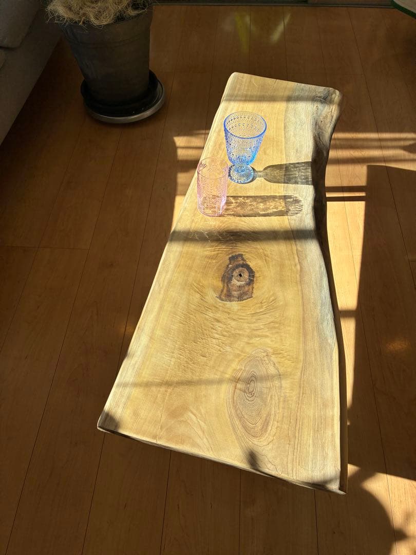 【銘木】国産朴（ホオ）天然木一枚板　センターテーブル　ローテーブル