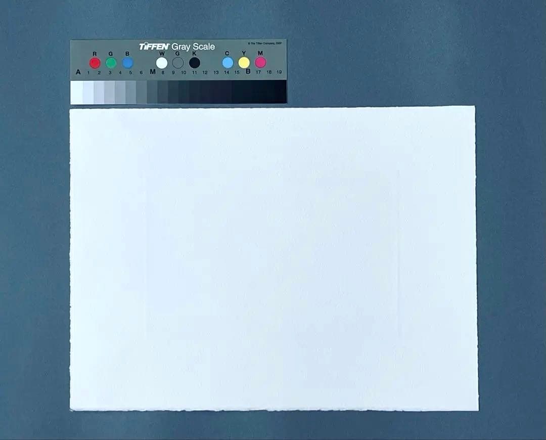 魂のピアニストFujiko Hemming版画フジ子・ヘミング 絵画 音楽 限定