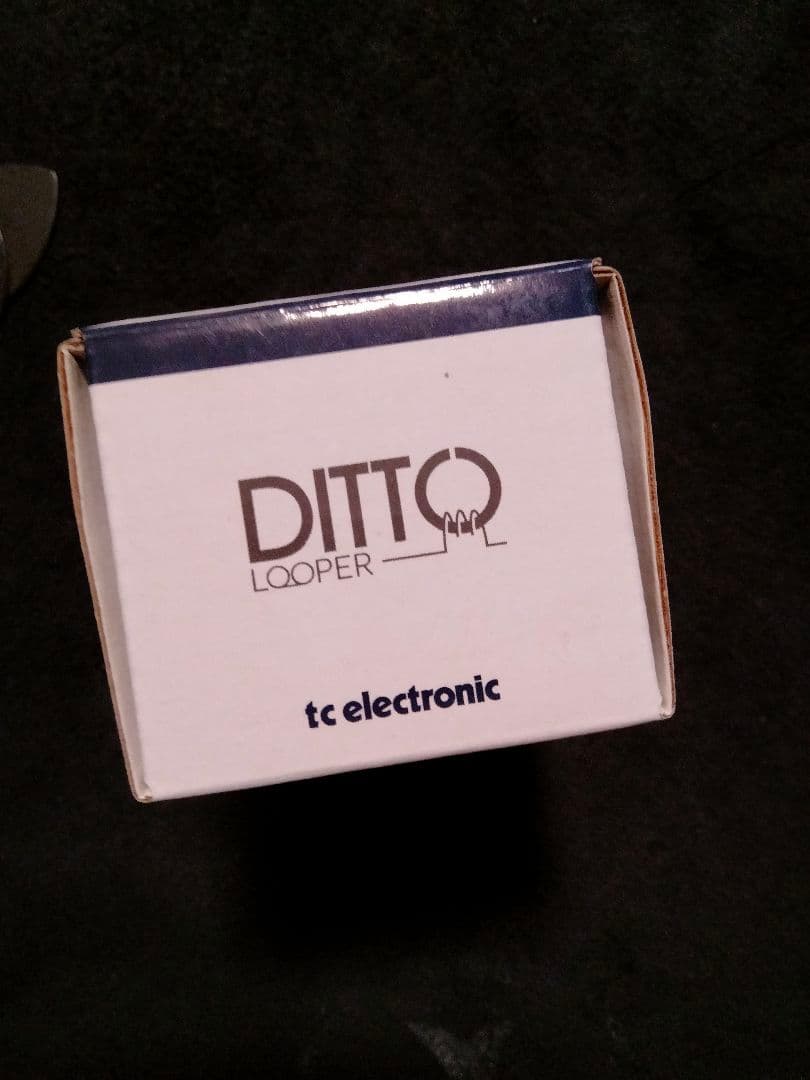 未使用 Ditto Looper ルーパー TC Electronic 元箱