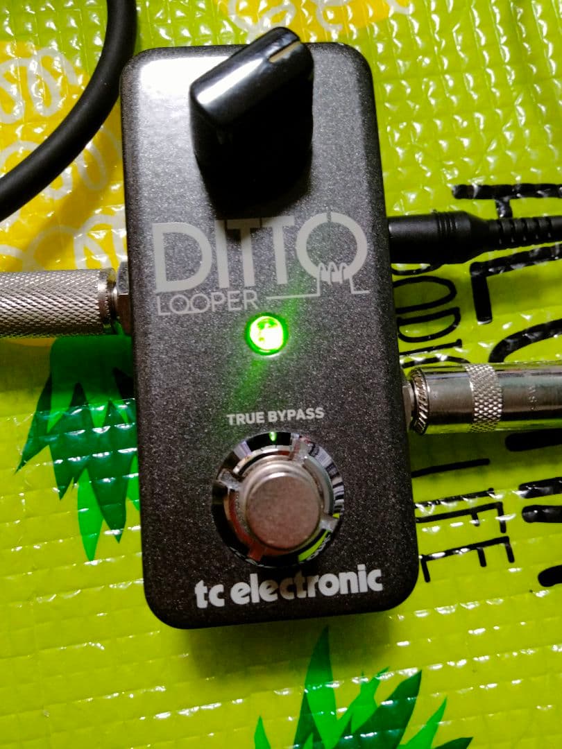 未使用 Ditto Looper ルーパー TC Electronic 元箱