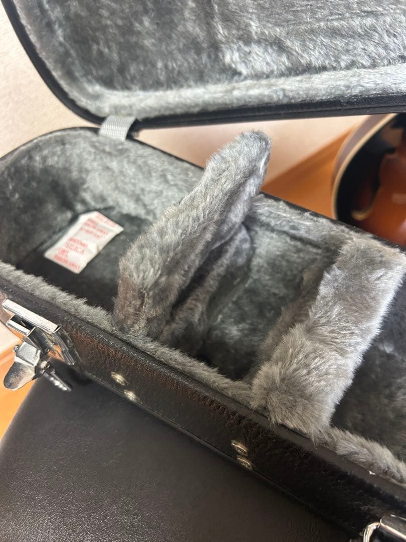 K-Garage VM6E エレクトリックフラットマンドリン ハードケース付