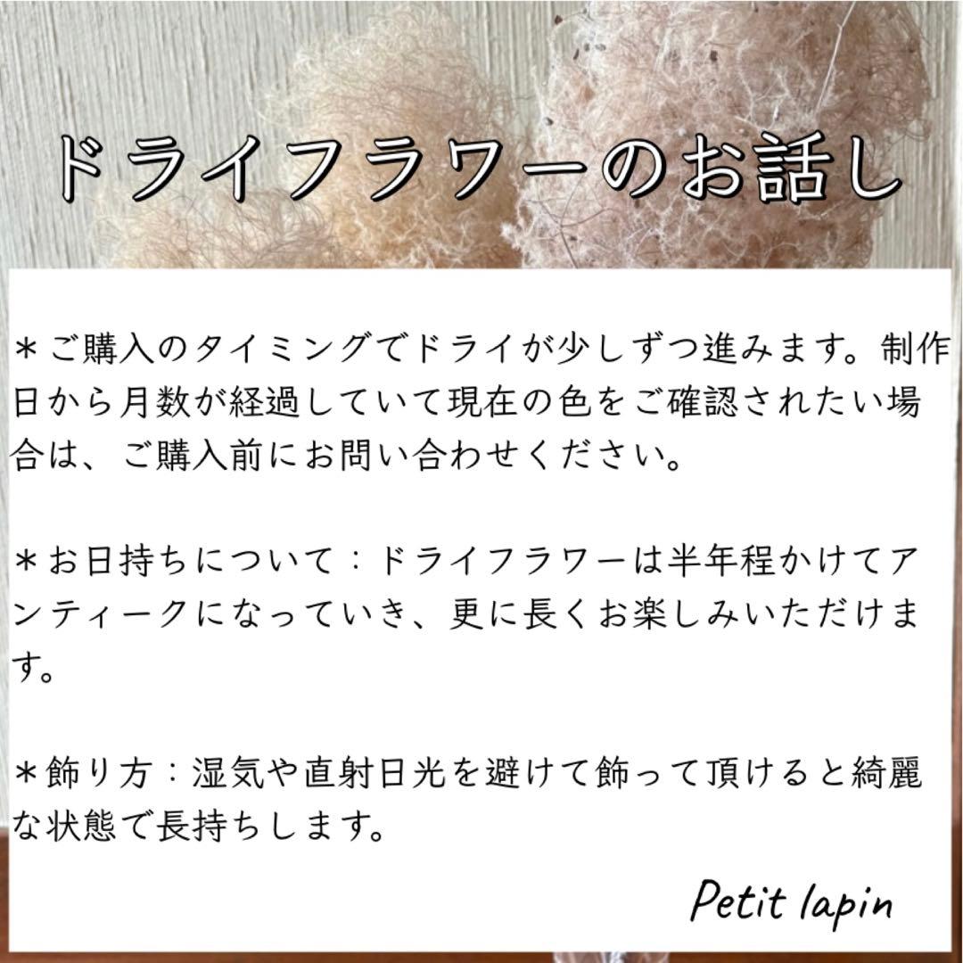 ホワイト ユーカリ ミルフィーユ リース L M 2点セット ＊ ドライフラワー