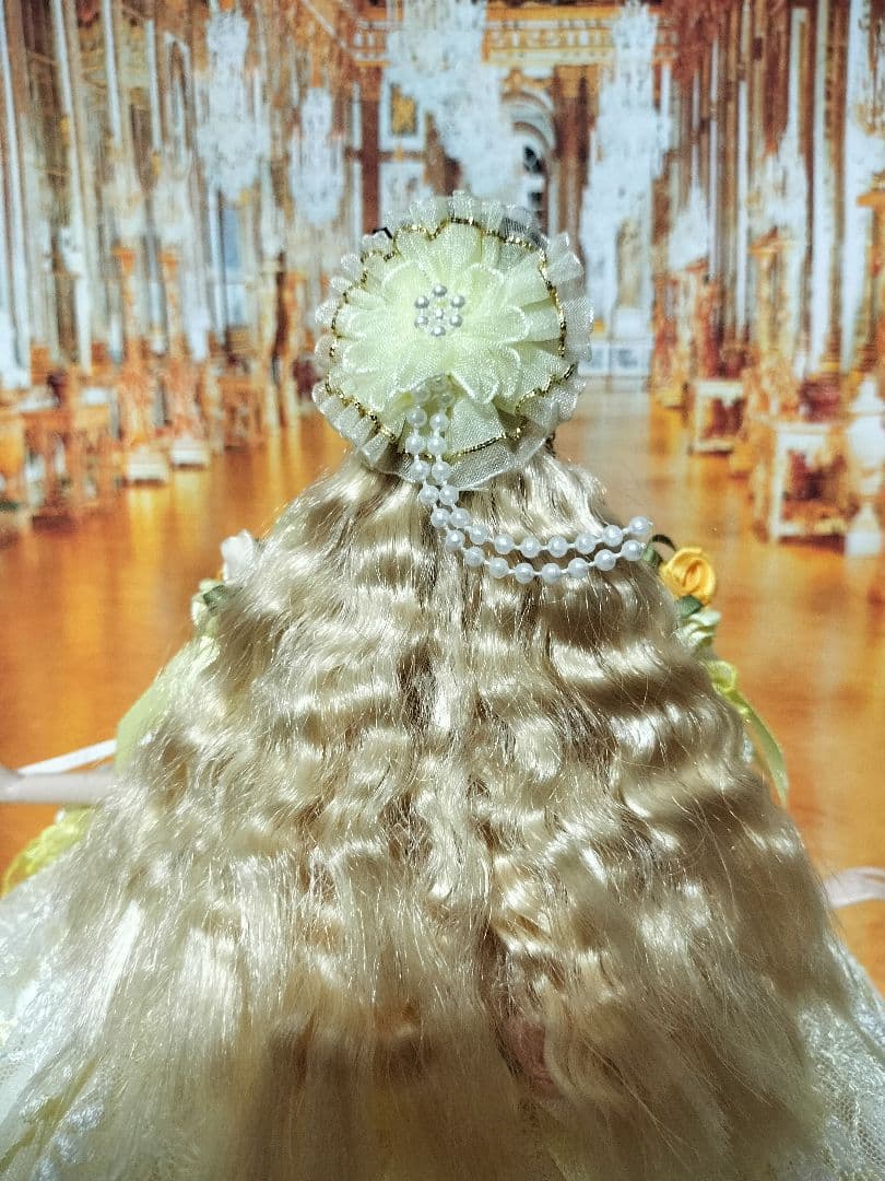 ポピーパーカー、ファッションロイヤリティ、バービーsizeのアウトフィット