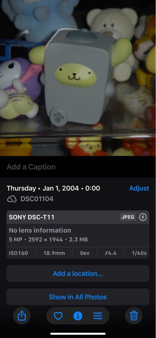 SONY Cyber-shot DSC-T11 デジタルカメラ 作例あり
