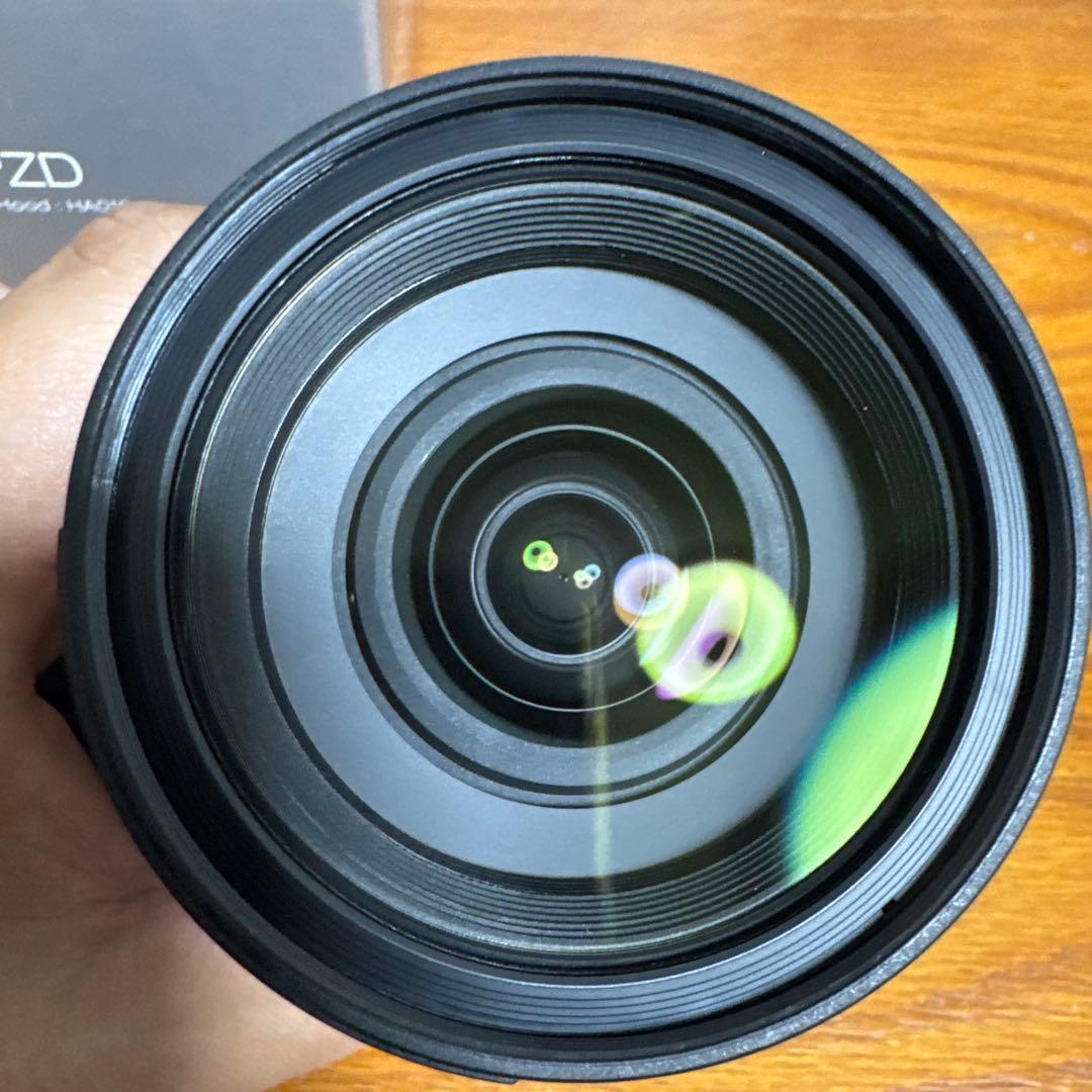 タムロン 28-300mm F3.5-6.3 Di VC PZD A010N