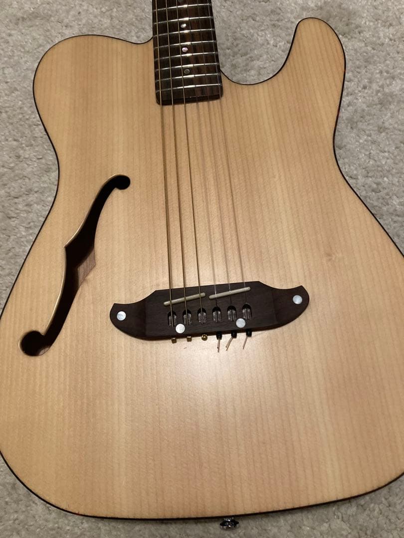 Schecter エレガット OLFL プリアンプ搭載モデル