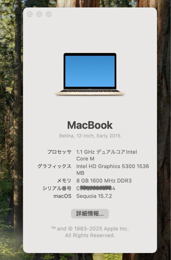 限定値下【美品】 Apple Macbook 12inch 2015 Gold