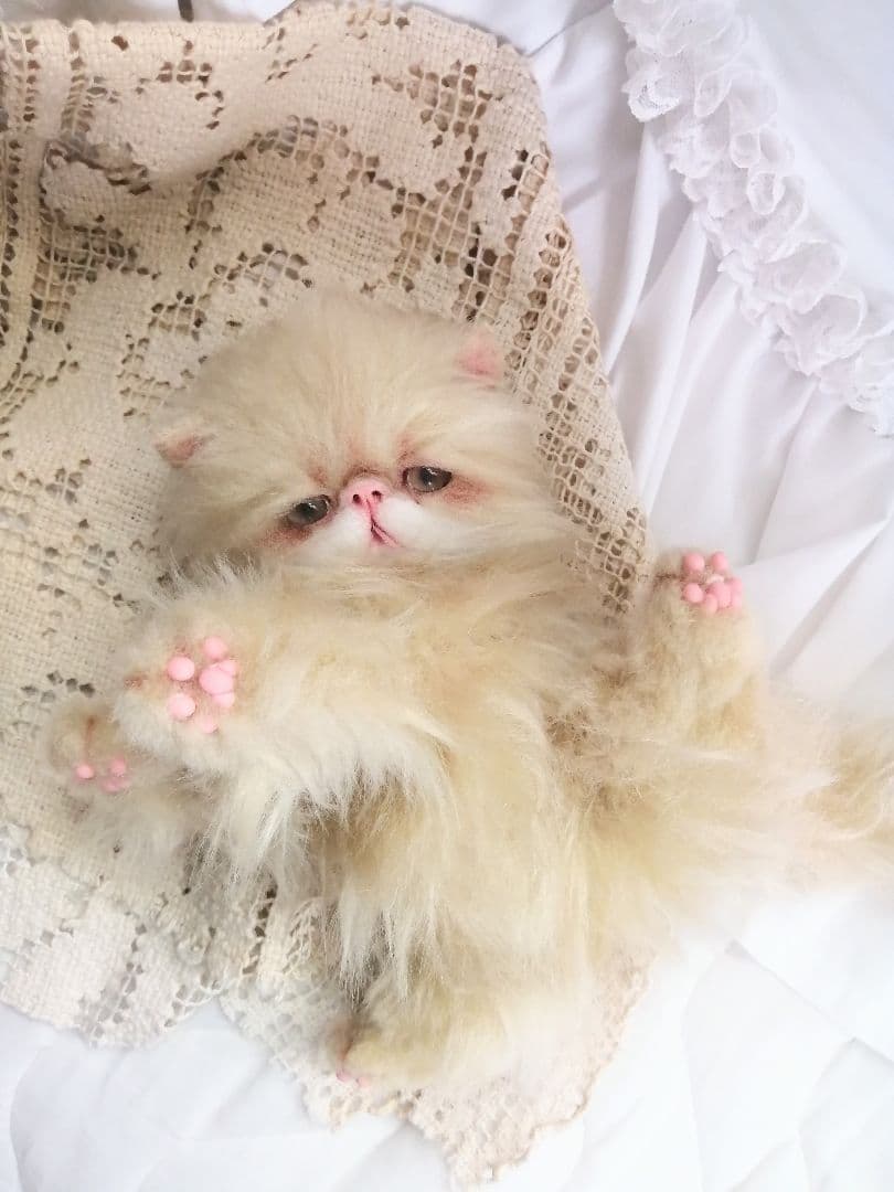 ふにゃっくた♡やわにゃわ♡エキゾチック子猫ちゃん♡アートドール♡ぬいぐるみ♡