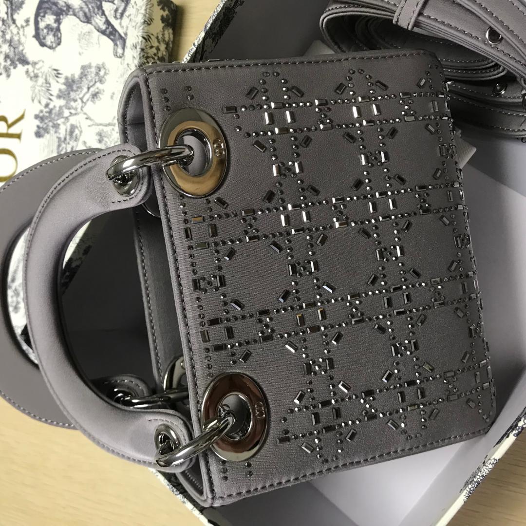 レディデ·ィオール ハンドバッグ