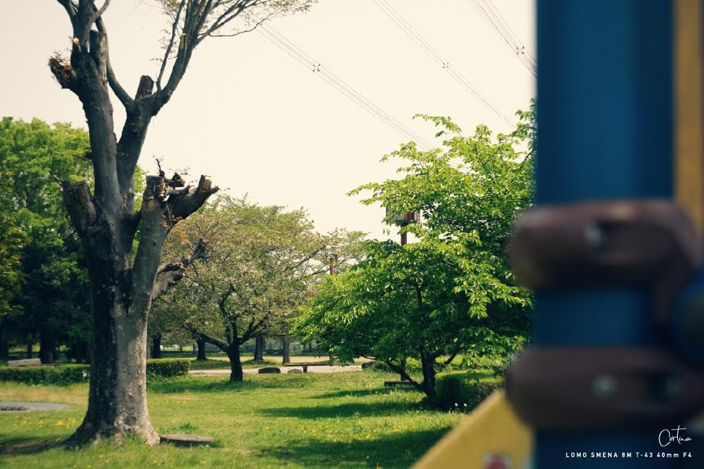 LOMO SMENA 8M T-43 40mm F4 M42マウント 改造レンズ