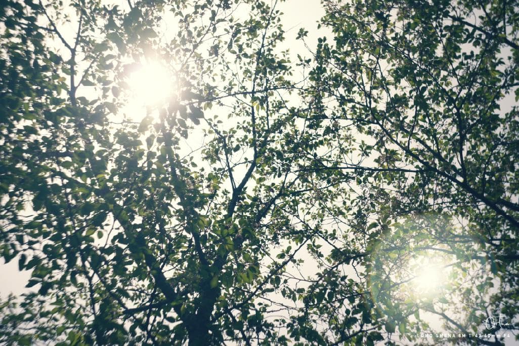 LOMO SMENA 8M T-43 40mm F4 M42マウント 改造レンズ