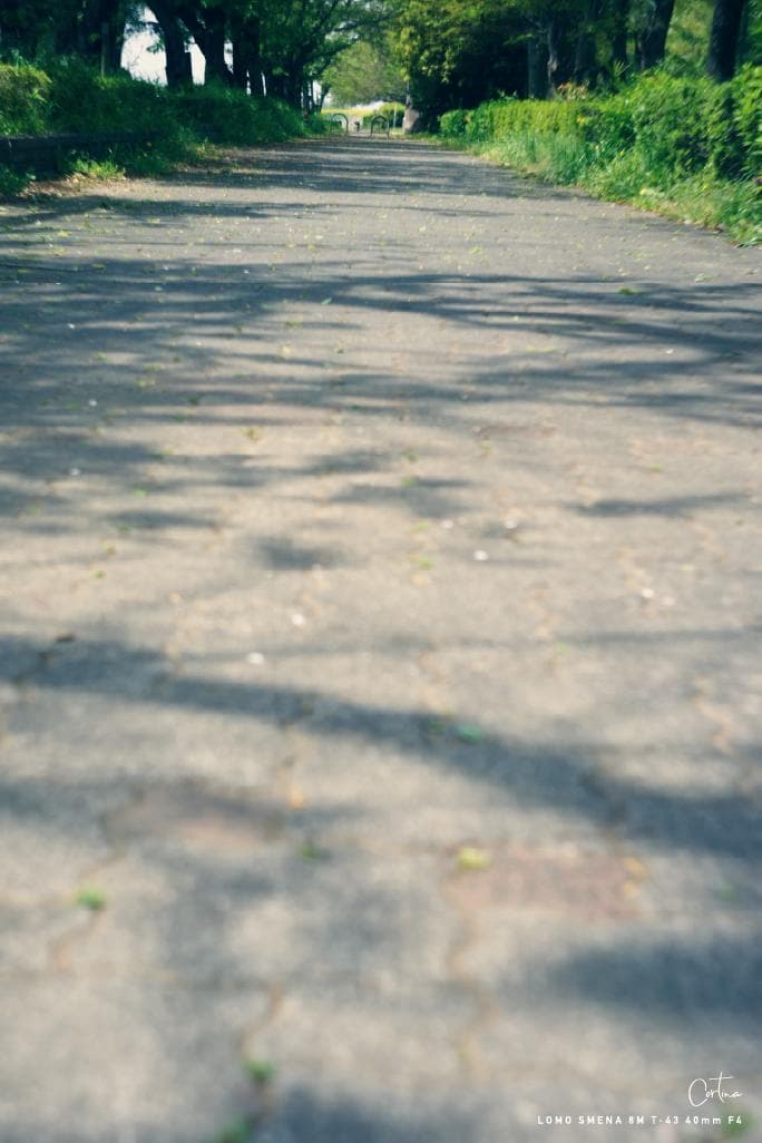 LOMO SMENA 8M T-43 40mm F4 M42マウント 改造レンズ