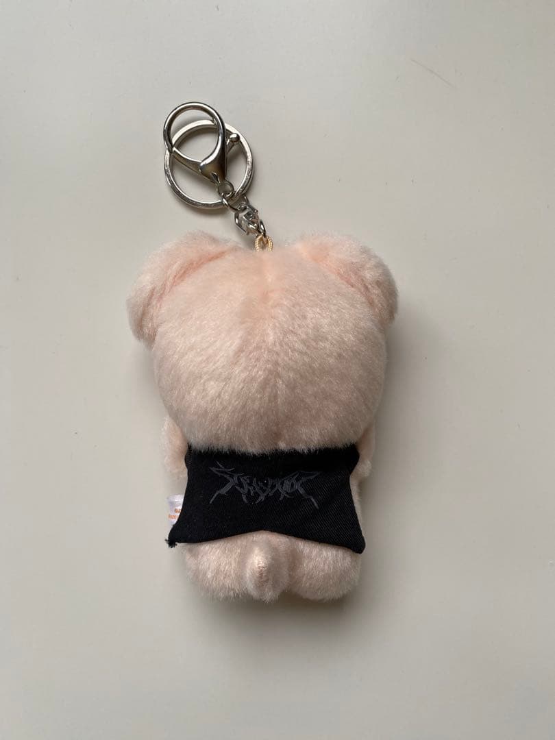 StrayKids SKZOOバンザイ マグネットキーリング 10cm パピーム