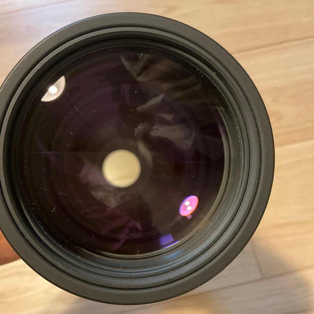 SIGMA 300mm f4 APO TELE MACRO + 1.4xテレコン