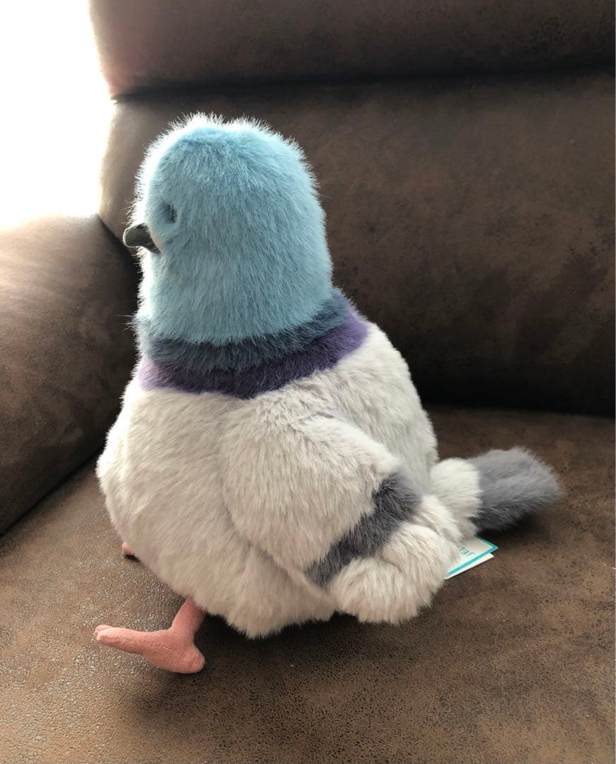 ジェリーキャット　Strutton Pigeon 鳩