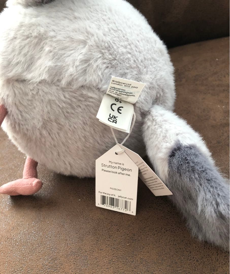ジェリーキャット　Strutton Pigeon 鳩