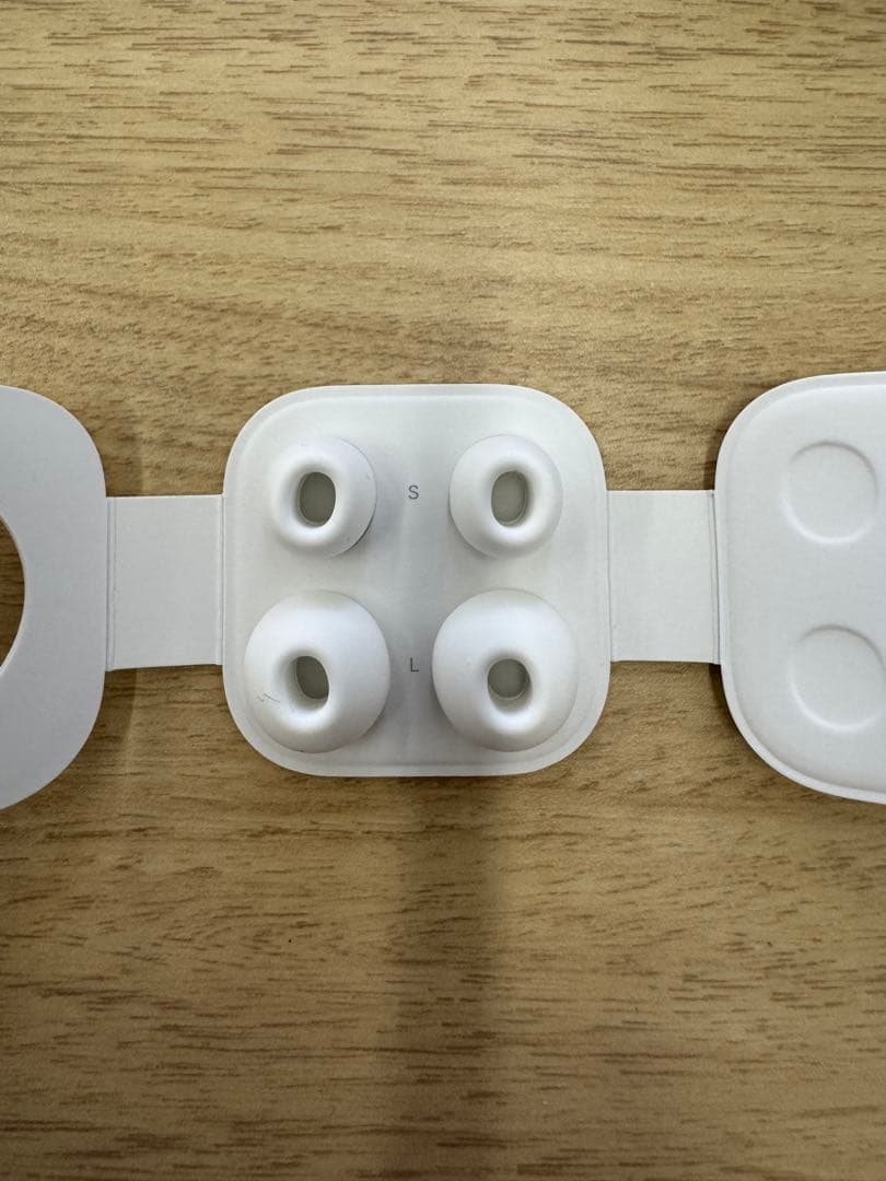 Apple AirPods Pro 本体（第1世代）