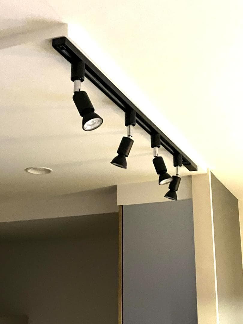 【M3039-75-50】スポットライト 6灯　電球付き　ブラック